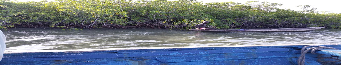  Produits naturels biosol au fil de l'eau ,100% qualité.Recolte le long de la mangrove de molusques à secher et miel de palétuvierss 